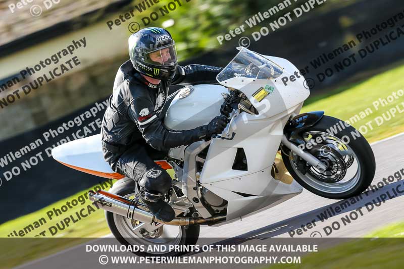 Oulton Park 20th March 2020;PJ Motorsport Photography 2020;anglesey;brands hatch;cadwell park;croft;donington park;enduro digital images;event digital images;eventdigitalimages;mallory;no limits;oulton park;peter wileman photography;racing digital images;silverstone;snetterton;trackday digital images;trackday photos;vmcc banbury run;welsh 2 day enduro